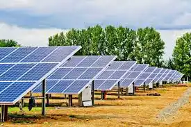Panneaux photovoltaïques pour hangars agricoles : guide complet
